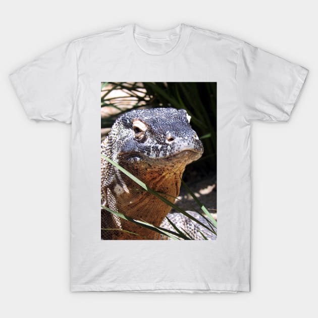 Komodo Dragon T-Shirt by kirstybush